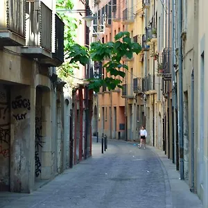 Housing Ginesta 9 Gérone
